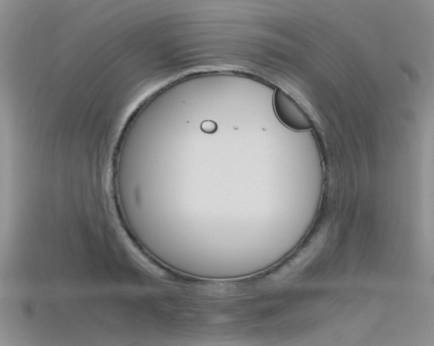 X0000115740797200911121101
