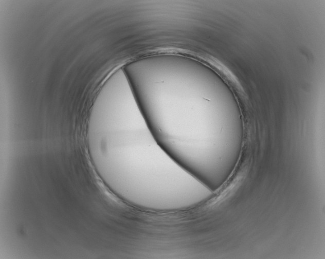 X0000115740801200911121101