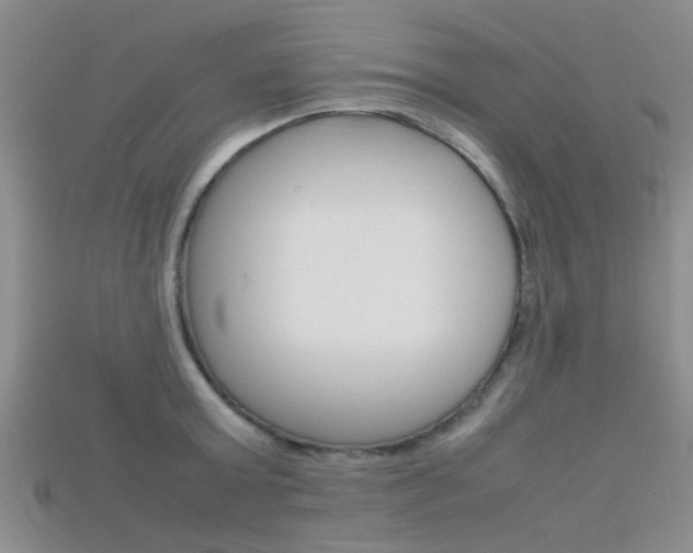 X0000115740803200911121101