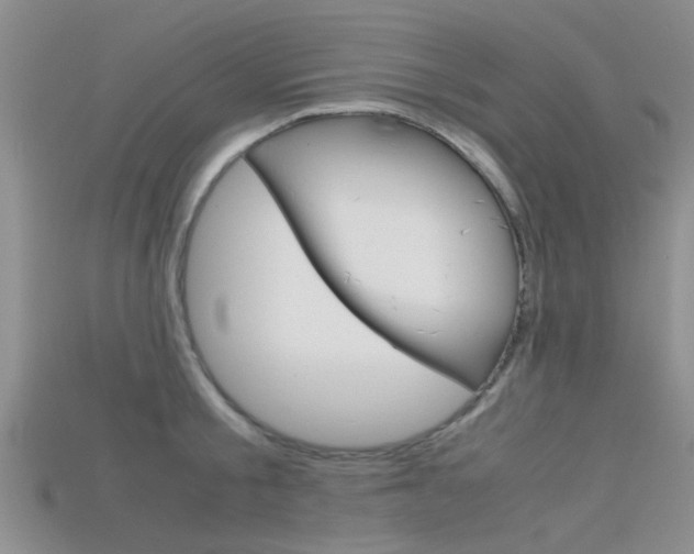 X0000115740805200911121101
