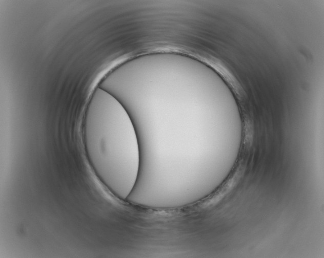 X0000115740806200911121101