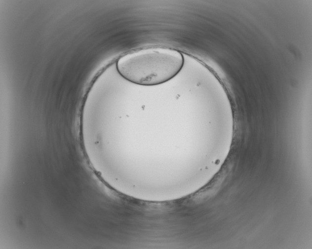 X0000115740807200911121101