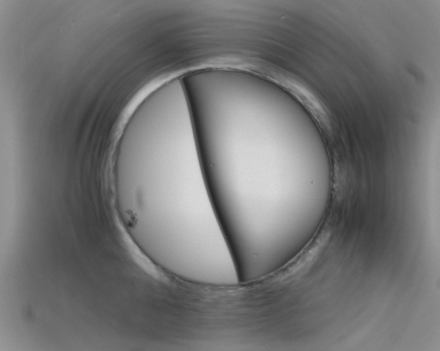 X0000115740808200911121101