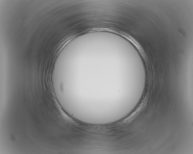 X0000115740809200911121101