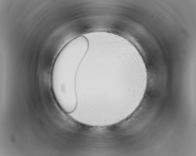 X0000115740810200911121101