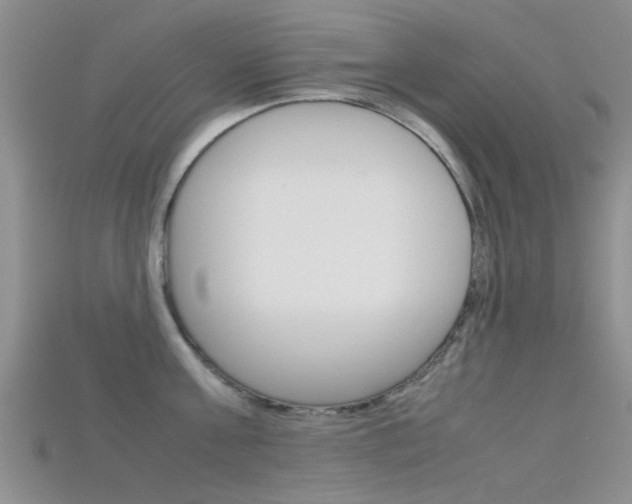 X0000115740811200911121101