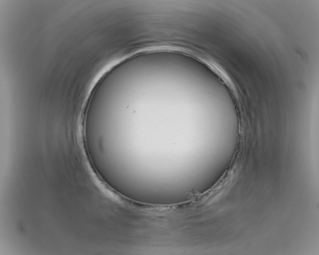 X0000115740813200911121101