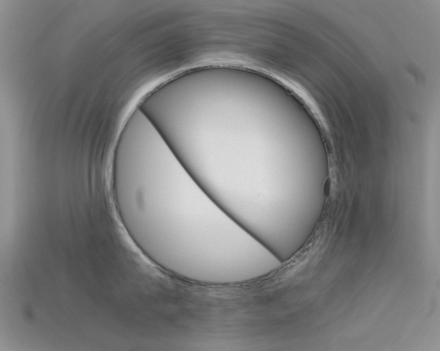 X0000115740815200911121101