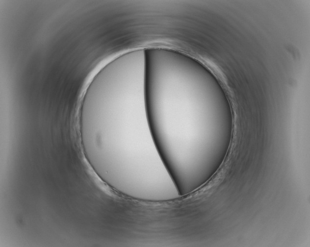 X0000115740816200911121101