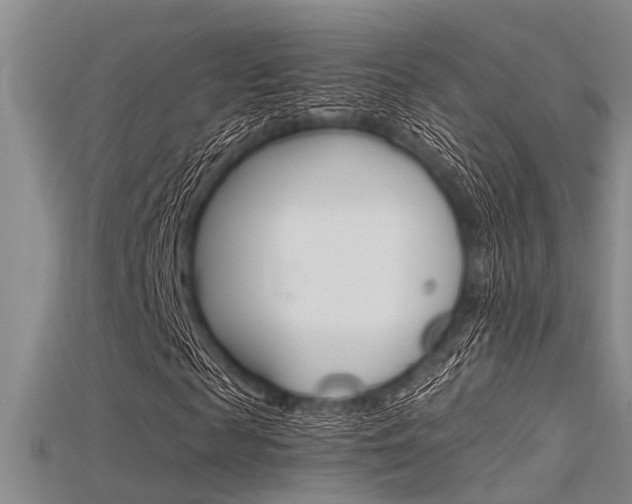 X0000115740817200911121100