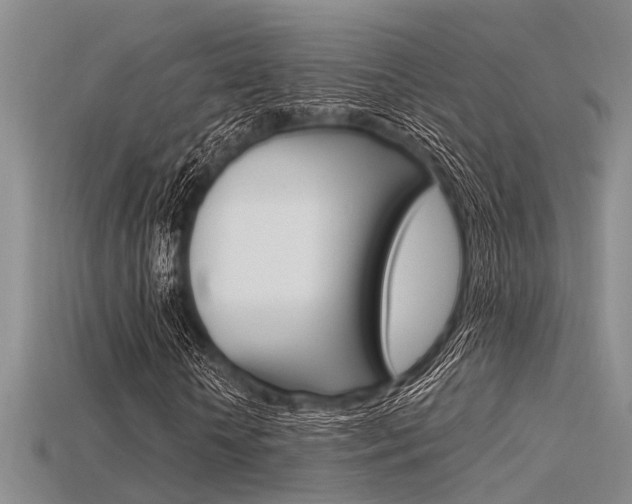 X0000115740818200911121100