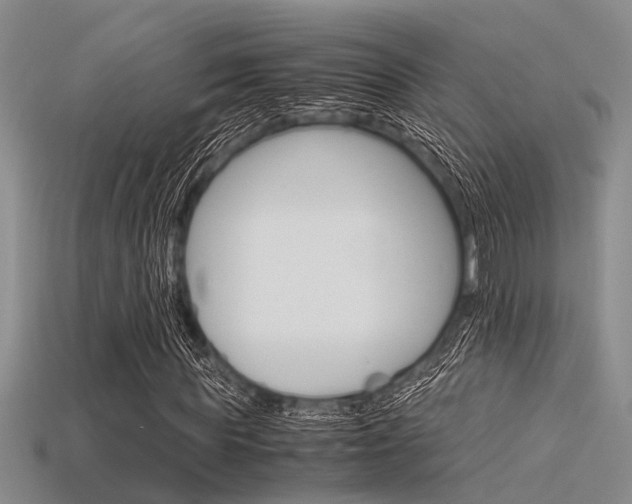 X0000115740819200911121100
