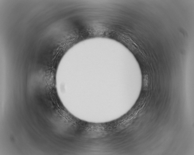 X0000115740820200911121100