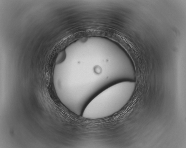 X0000115740821200911121100