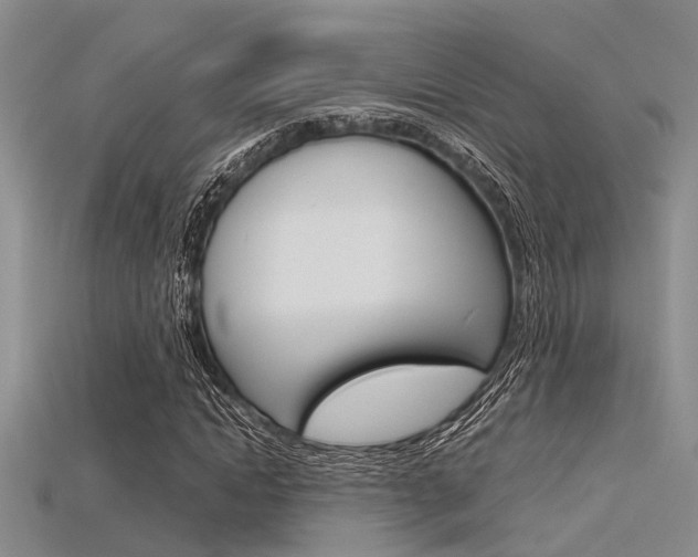 X0000115740822200911121100