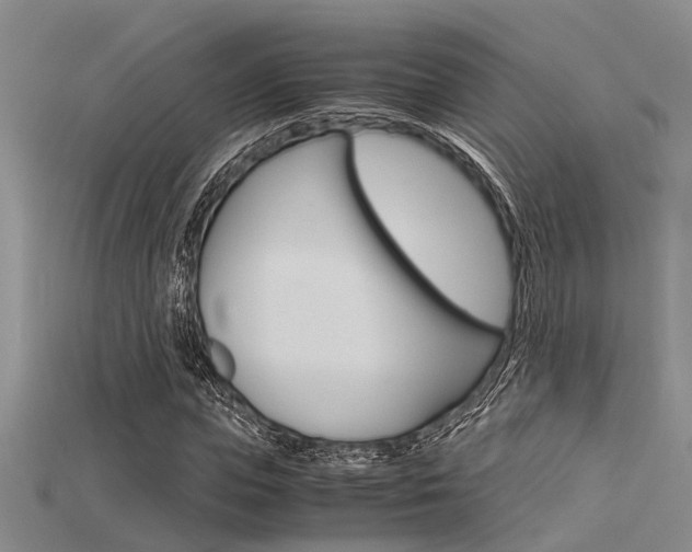 X0000115740823200911121100