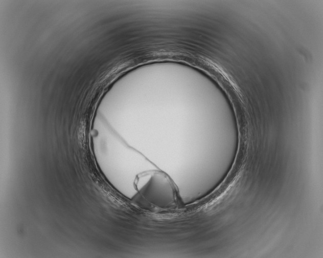 X0000115740825200911121100