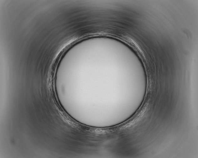 X0000115740827200911121100