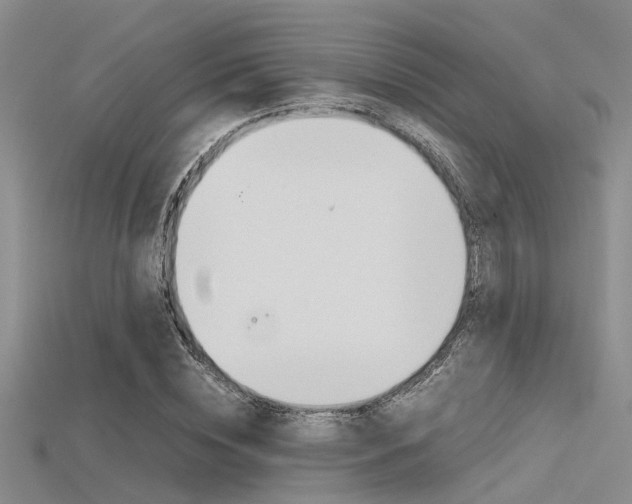 X0000115740828200911121100