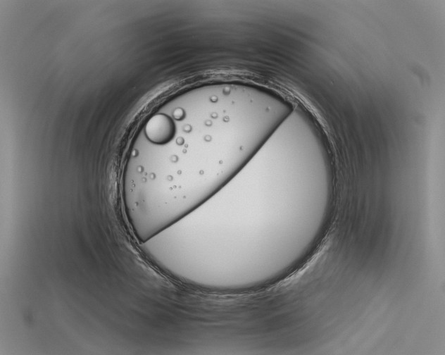 X0000115740829200911121100
