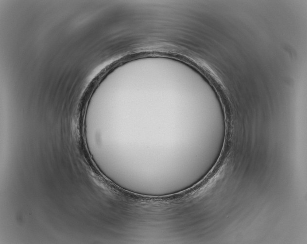 X0000115740830200911121100