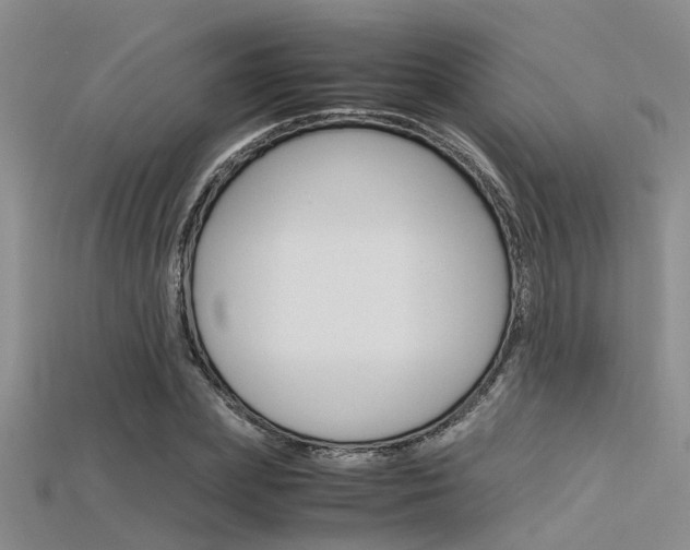 X0000115740831200911121100