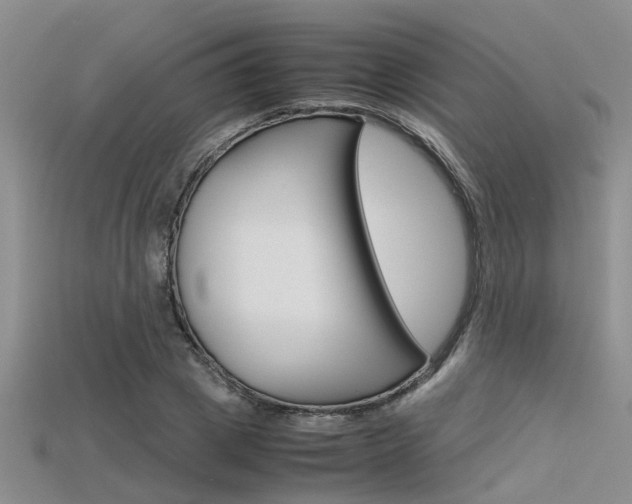 X0000115740833200911121100