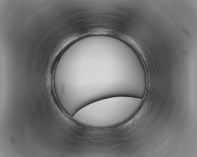 X0000115740835200911121100