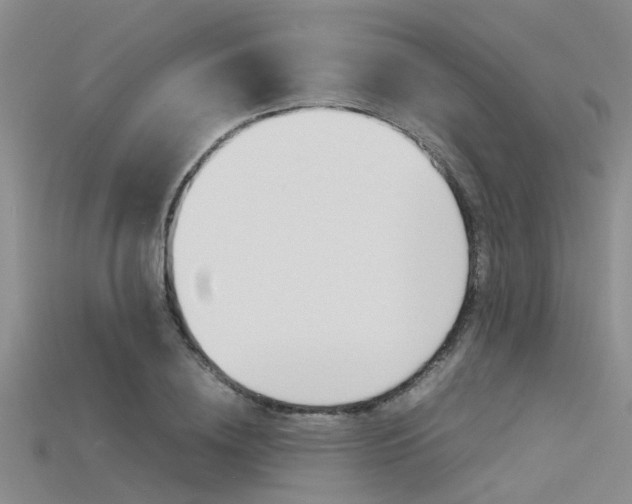 X0000115740836200911121100