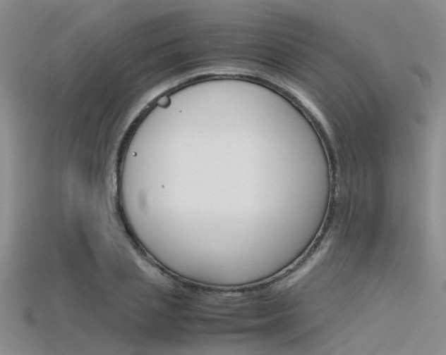 X0000115740837200911121100