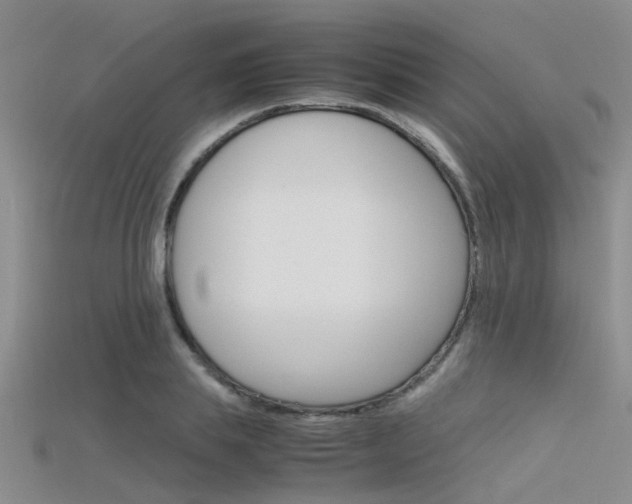 X0000115740839200911121100