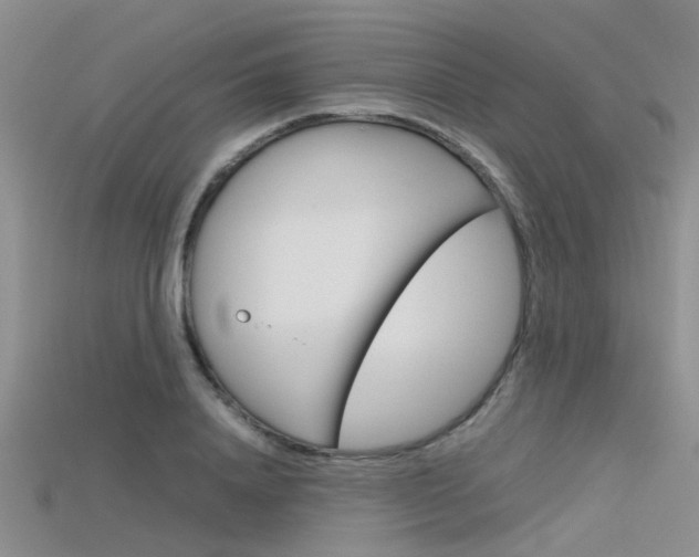 X0000115740840200911121100