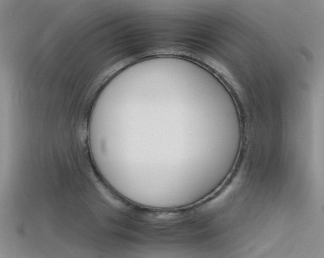 X0000115740841200911121100