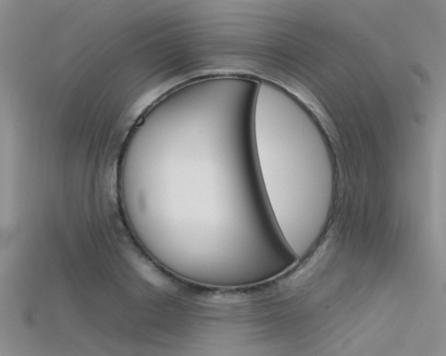 X0000115740842200911121100