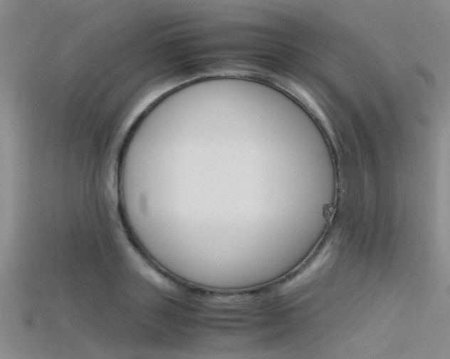 X0000115740843200911121100