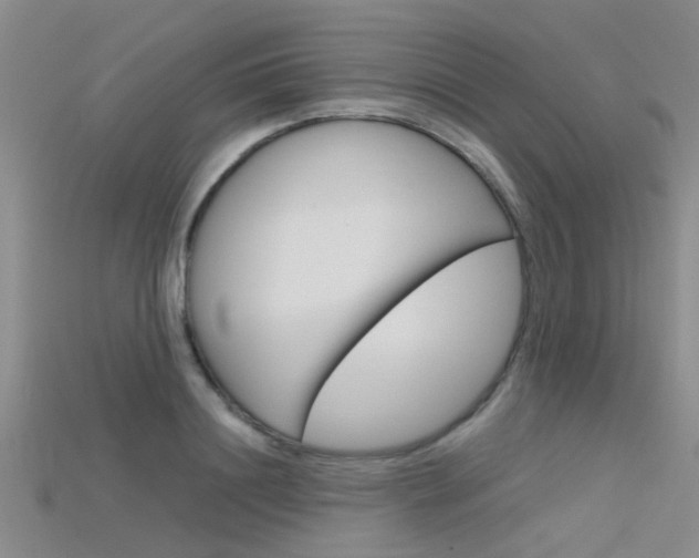 X0000115740844200911121100
