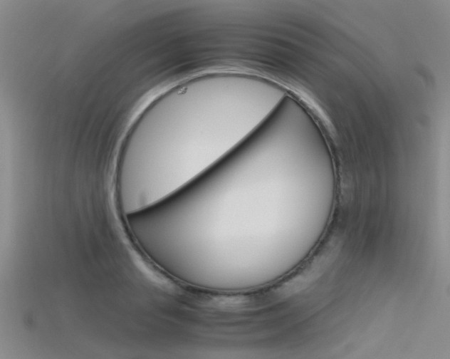 X0000115740845200911121100