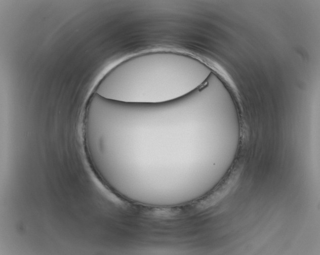 X0000115740847200911121100