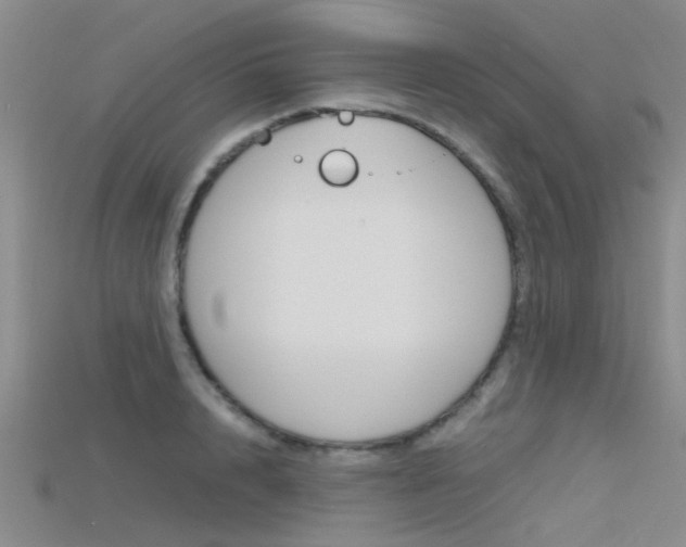 X0000115740848200911121100