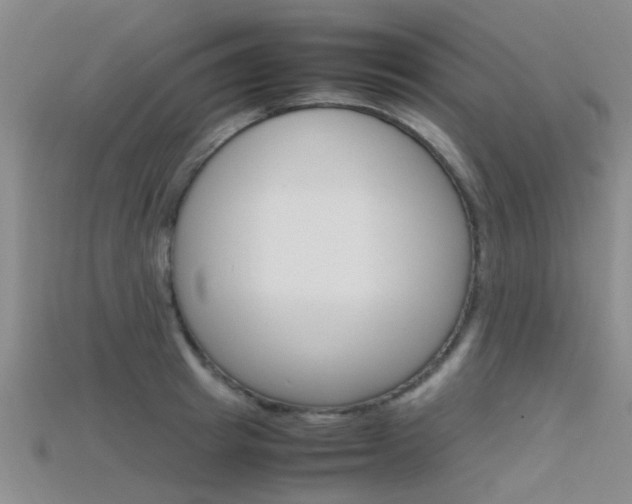 X0000115740849200911121100