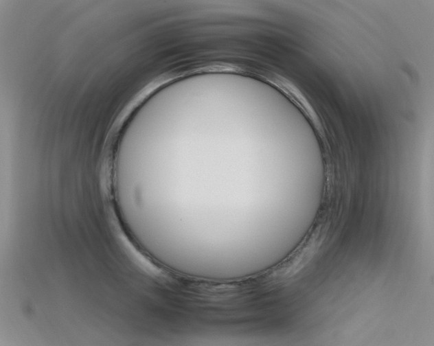 X0000115740851200911121100
