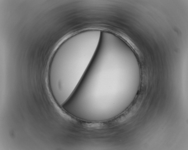 X0000115740853200911121101