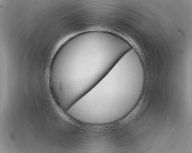 X0000115740854200911121101