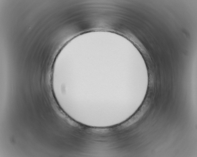 X0000115740856200911121101
