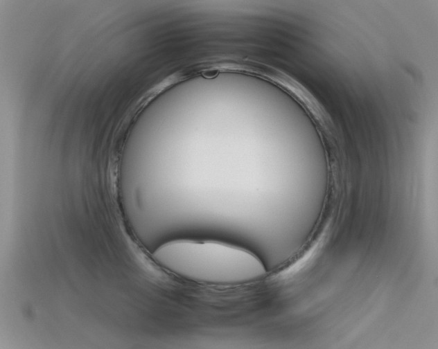 X0000115740857200911121101