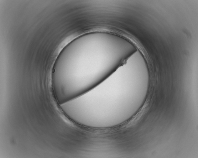 X0000115740858200911121101