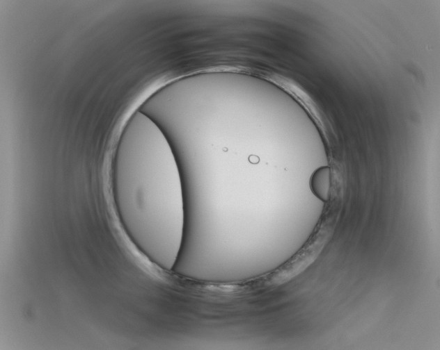 X0000115740859200911121101