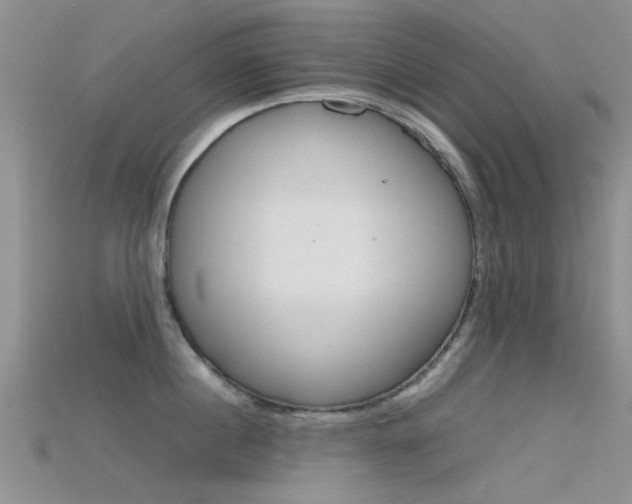 X0000115740860200911121101