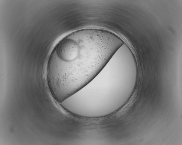 X0000115740862200911121101
