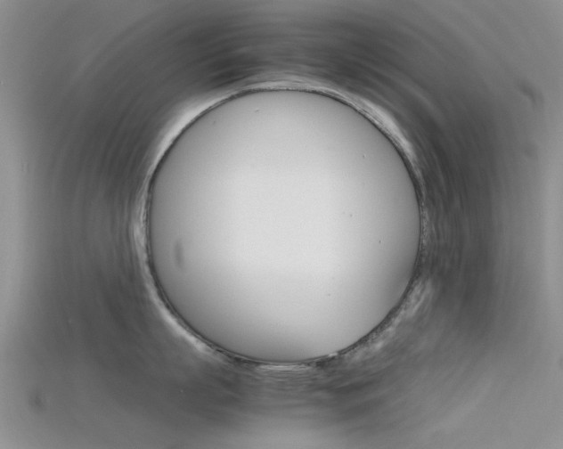 X0000115740863200911121101